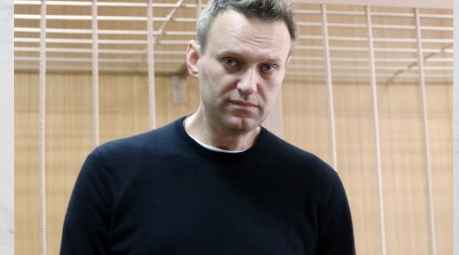 Алексей Навальный: 
