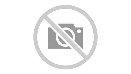 Пока молчал Сталин